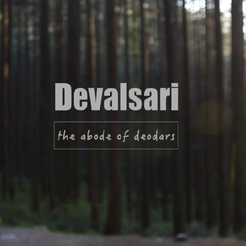 Devalsari - The abode of deodars

